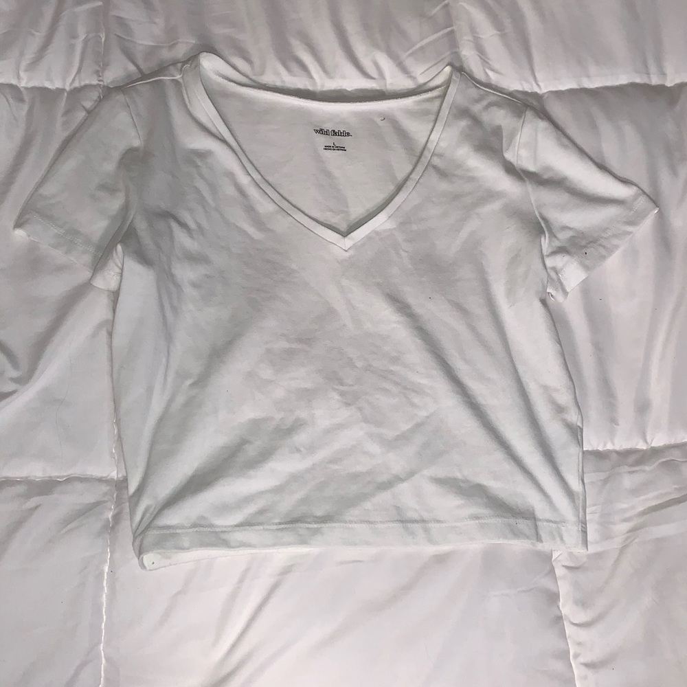wild fable White Cropped V-neck